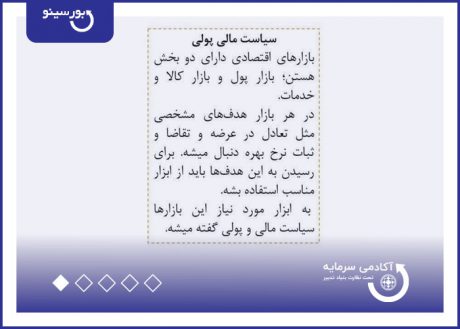 سیاست مالی پولی